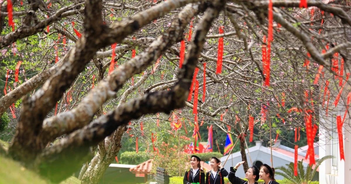 Phú Thọ thu hơn 310 tỷ đồng từ du lịch trong 4 ngày nghỉ Tết Dương lịch