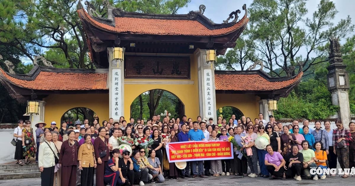 Hải Phòng đón 14,5 triệu lượt khách du lịch trong năm 2025