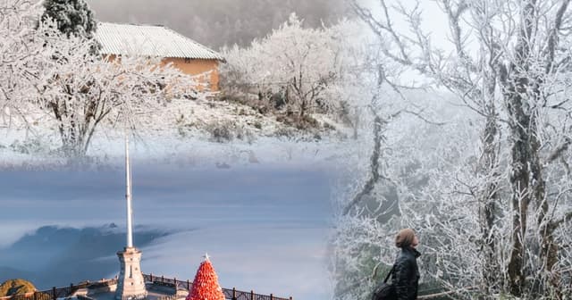 Băng giá ở Việt Nam mà ngỡ như châu Âu