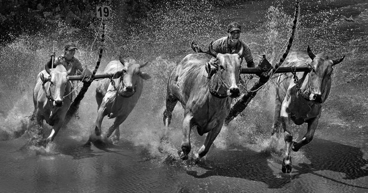 Khởi động cuộc thi ảnh nghệ thuật ‘Các di sản văn hóa Việt Nam’