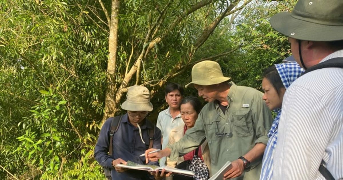 Chuyên gia khuyến cáo đảm bảo tính nguyên gốc của di tích Óc Eo - Ba Thê