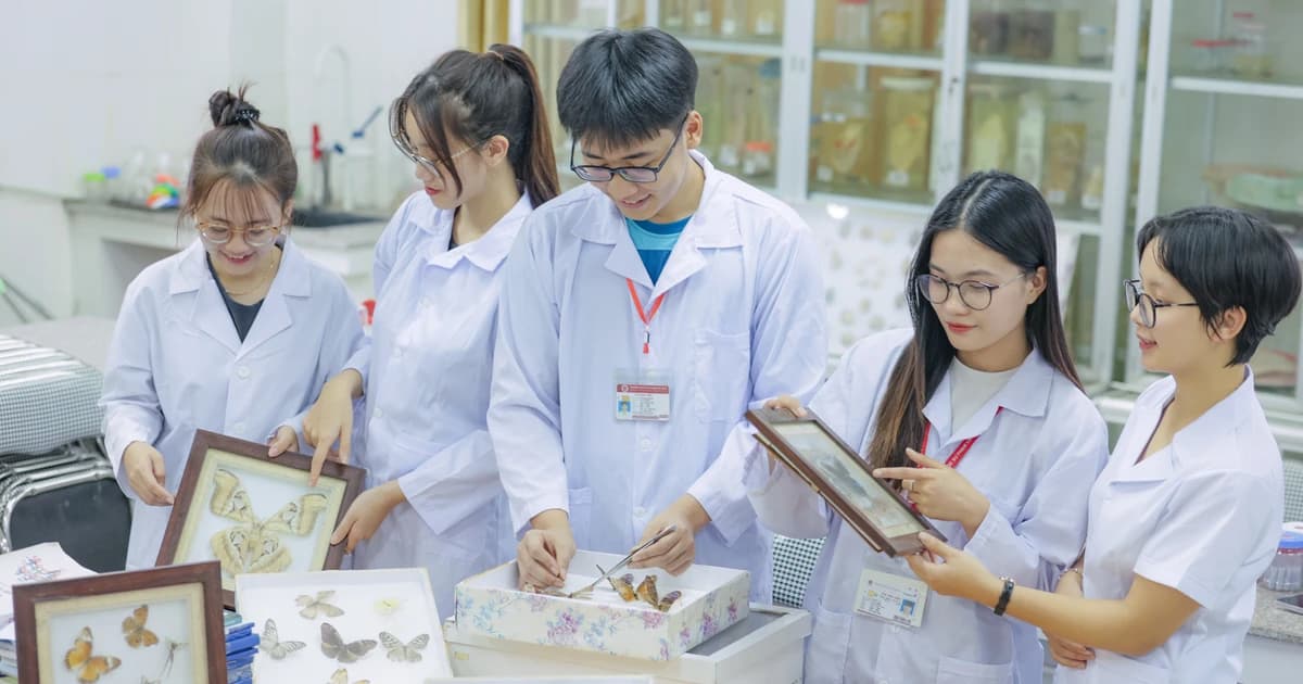Chính sách hỗ trợ sinh viên sư phạm