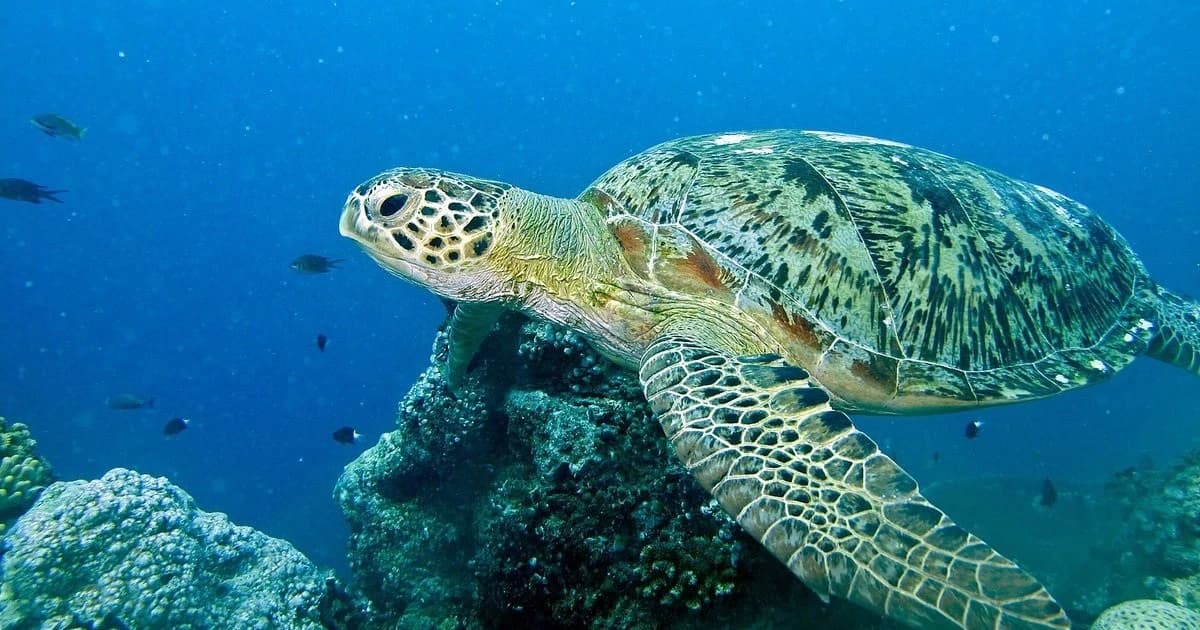 Những bước tiến ấn tượng của khoa học: Từ chỉnh sửa gen đến năng lượng sạch