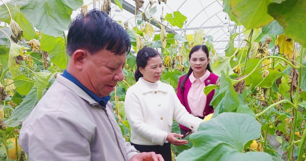 Thứ trưởng Bộ Y tế: Không phải tất cả sản phẩm thực phẩm bắt buộc phải công bố hợp quy