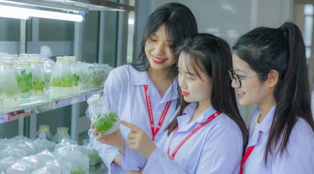 Nghị quyết 57 và hệ sinh thái đổi mới sáng tạo: Liên kết '3 nhà' kiến tạo - tự chủ - đầu tư