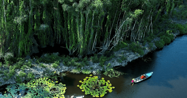 Những địa điểm du lịch gần TP.HCM trong dịp Tết Bính Ngọ 2026
