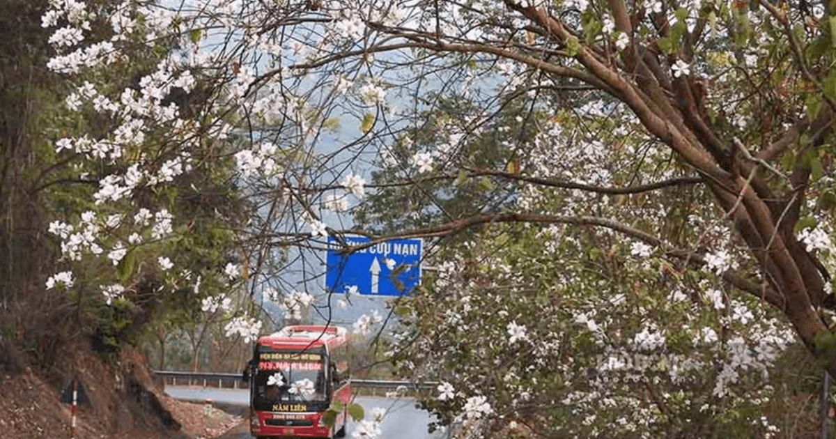 Tháng Ba về, Điện Biên rực rỡ trong không khí Lễ hội hoa ban