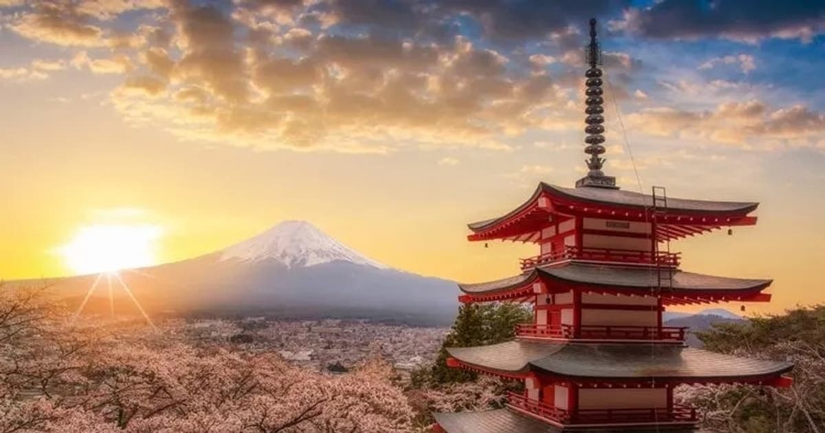 Hoa anh đào nở sớm, tour ngắm hoa Nhật Bản được săn đón