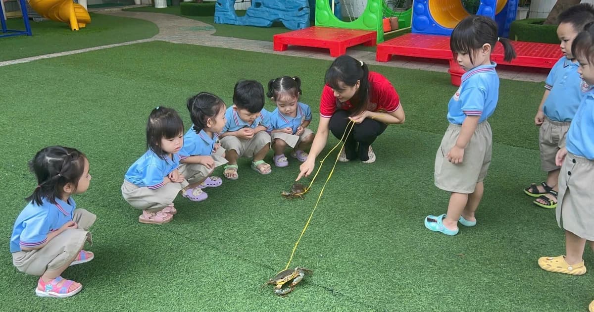 Phòng, chống bệnh tay chân miệng tại TPHCM: Dựng 'lá chắn' từ gia đình, nhà trường