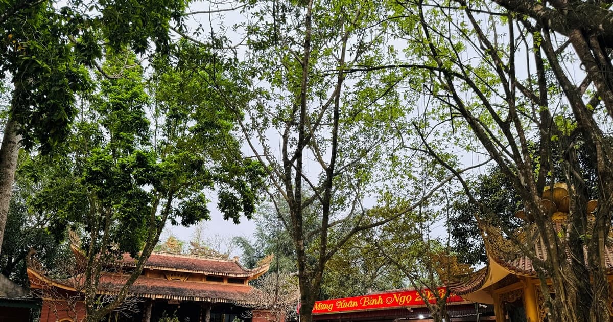 Am Tiên định hướng trở thành không gian văn hóa - sinh thái đặc sắc