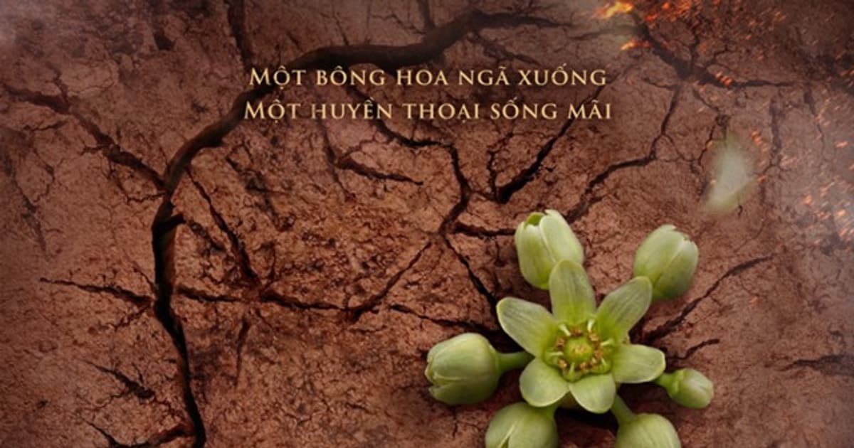 Phim điện ảnh ‘Đất đỏ’ khởi động đợt casting quy mô lớn