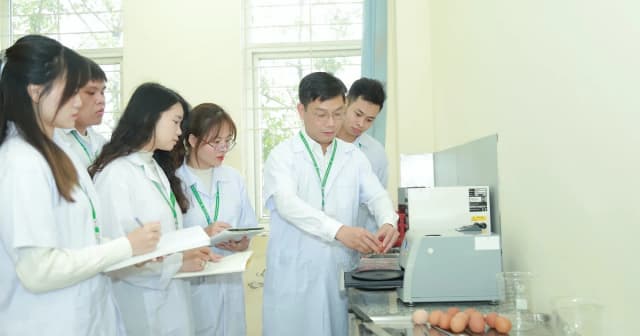 Giúp sinh viên tăng lợi thế cạnh tranh nghề nghiệp