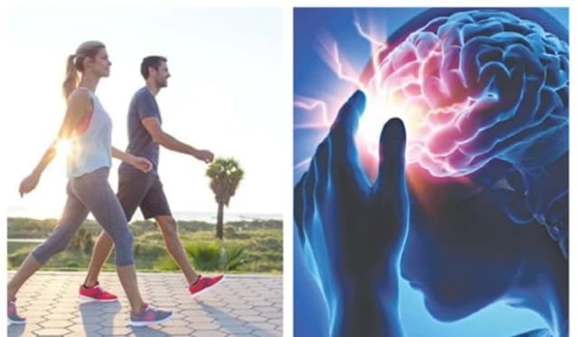 Nhồi máu não: Nguyên nhân, dấu hiệu cảnh báo sớm và cách phòng ngừa hiệu quả