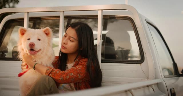 Siêu phẩm điện ảnh về chú chó Gohan gây sốt phòng vé Việt