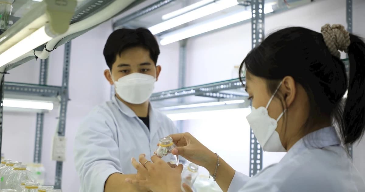 Chuẩn nghề nghiệp giảng viên, giáo viên sơ cấp, trung cấp: Từ tiêu chí đến động lực phát triển