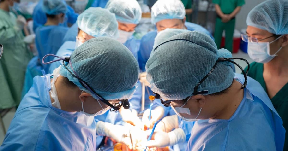 Cuộc chạy đua ghép tạng cứu 12 người