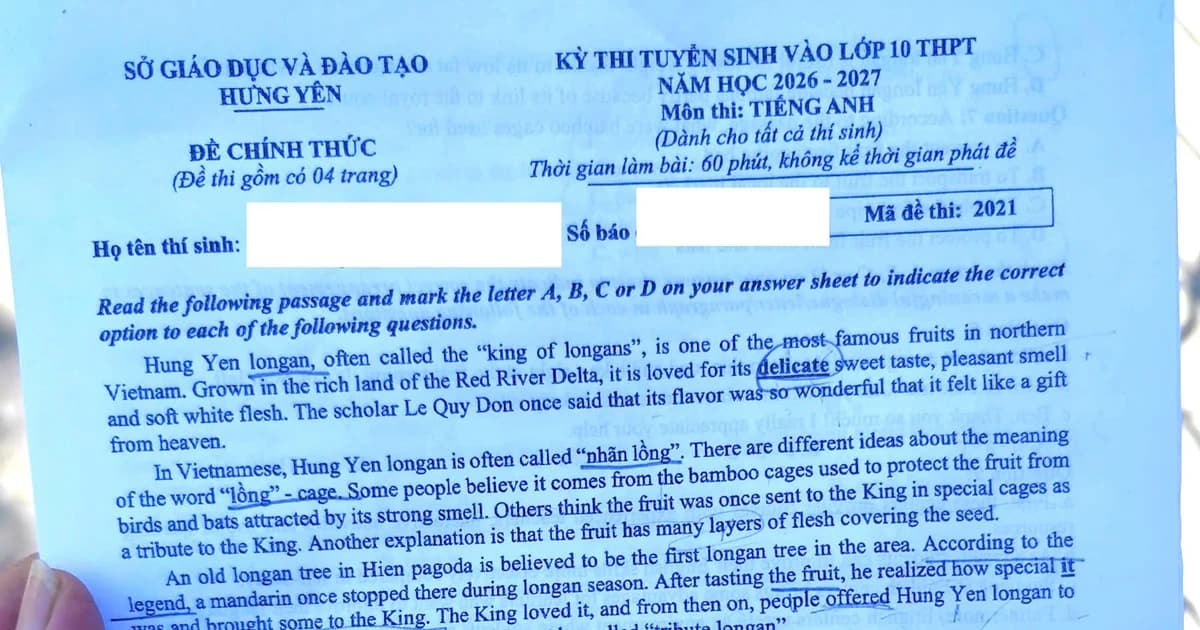Nhãn lồng Hưng Yên gây ấn tượng trong đề thi Tiếng Anh vào 10