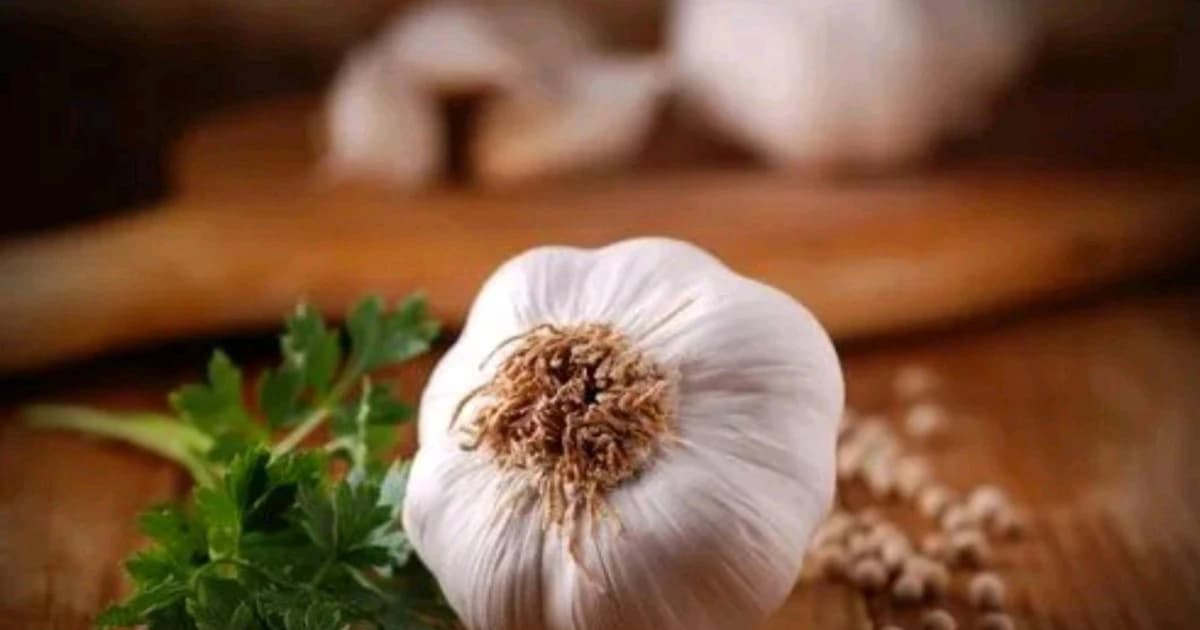 7 lưu ý cho người thường xuyên ăn tỏi