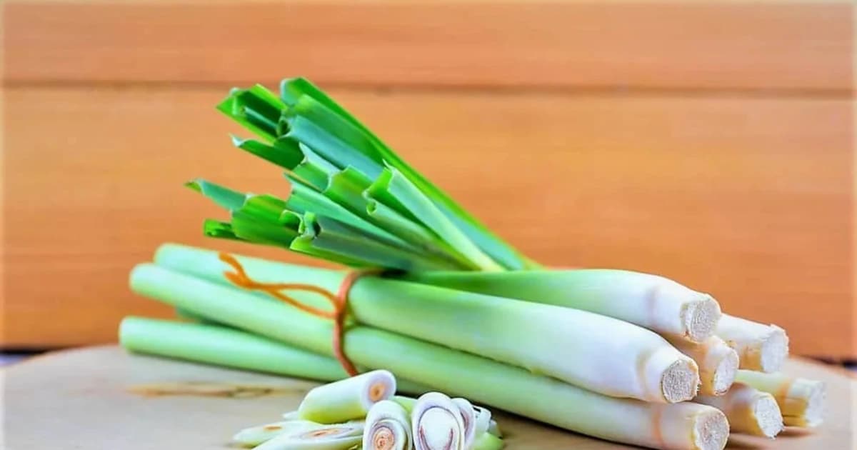 Sả rất tốt nhưng lưu ý 5 điều cần tránh khi ăn kẻo 'rước họa'