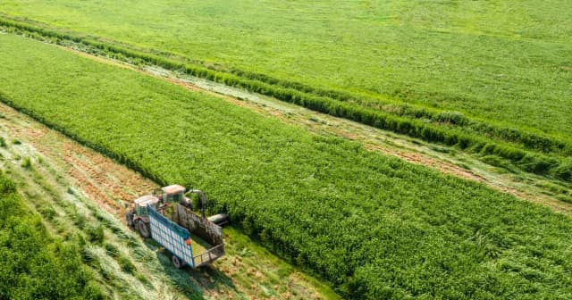 Vinamilk tiếp tục là đại diện duy nhất của ngành sữa Việt Nam trong Fortune 500 Đông Nam Á