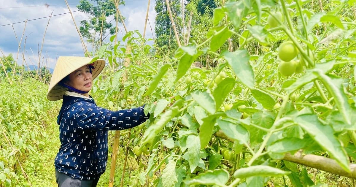 Đào tạo song hành, thực học, thực nghiệp, chuyển dịch cơ cấu năng suất lao động tại Lai Châu