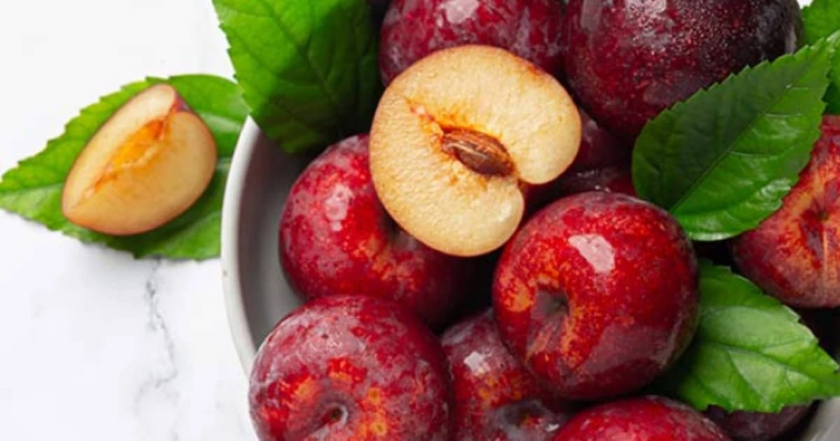Lợi ích sức khỏe của quả mận