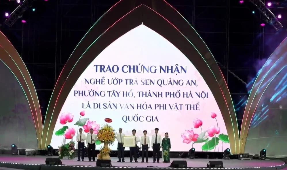 Từ đầm sen ngoại ô đến tinh hoa sen Hà Nội