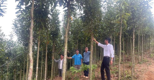 Nhà giáo giữ bình yên nơi cực Tây Tổ quốc