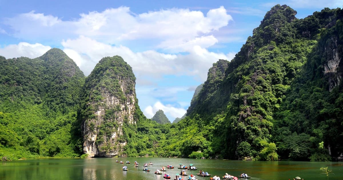 Profile Đất nước của tôi: Kể câu chuyện Việt Nam bằng điện ảnh
