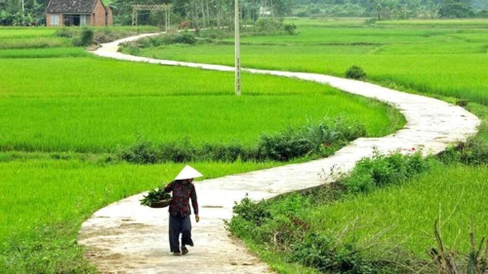 Ký ức xanh nguyên