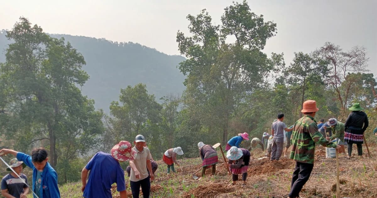 Đưa lớp nghề về bản, mở hướng sinh kế vùng biên