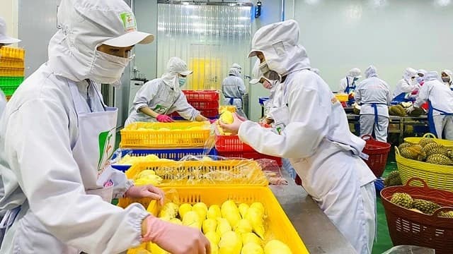 Đắk Lắk đào tạo nhân lực từ yêu cầu thực tiễn