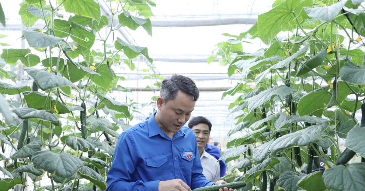 Phát huy đội ngũ trí thức trẻ, kỹ sư trẻ hỗ trợ sản xuất