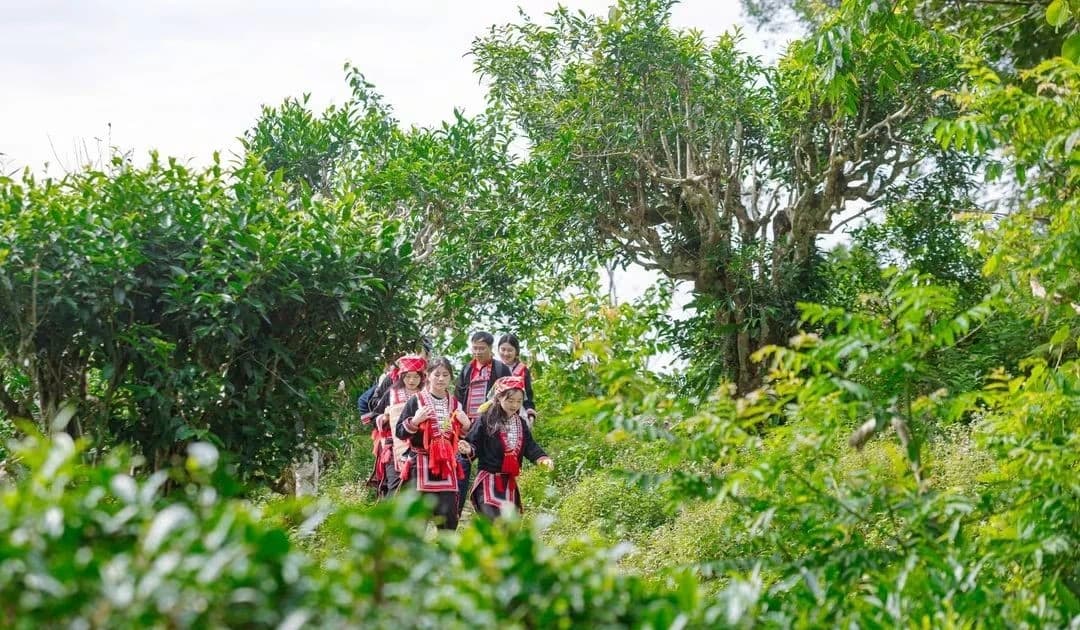 Đào tạo nghề từ lợi thế, tạo sinh kế bền vững cho người dân