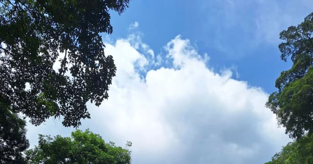 Bức thư gửi từ lòng đất