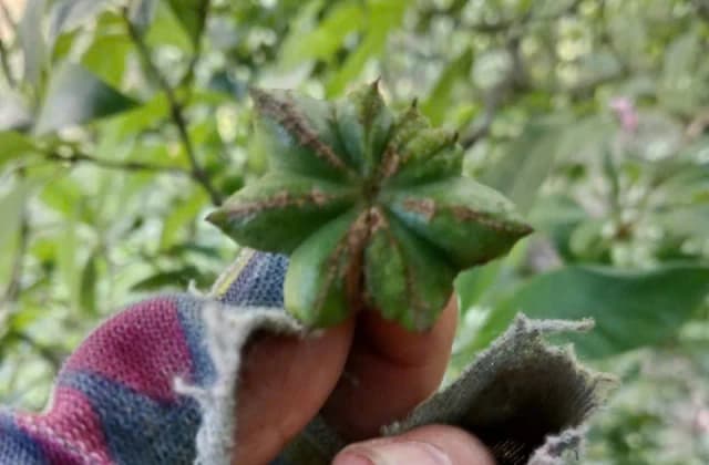 Từ lớp học mở giữa rừng xanh đến khát vọng làm giàu của đồng bào Dao