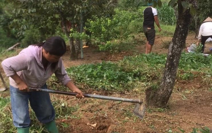 Thay đổi tư duy phát triển kinh tế nhờ các lớp học nghề cho người dân nghèo