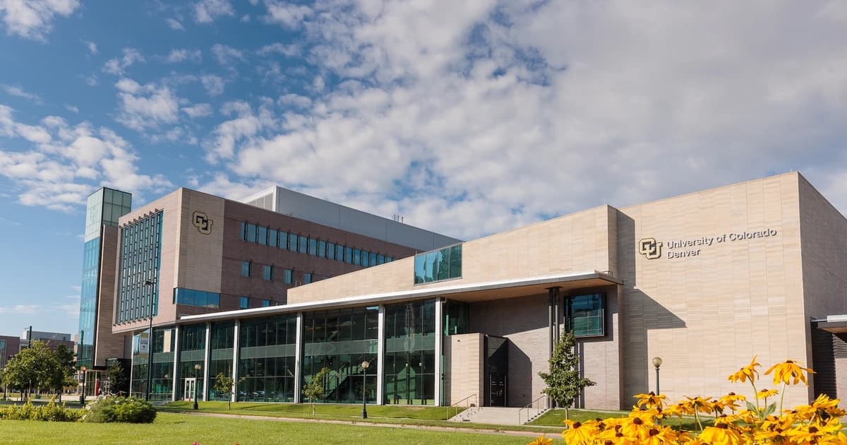 CU Denver MBA kết hợp kiến thức quản trị Mỹ với thực tiễn doanh nghiệp Việt