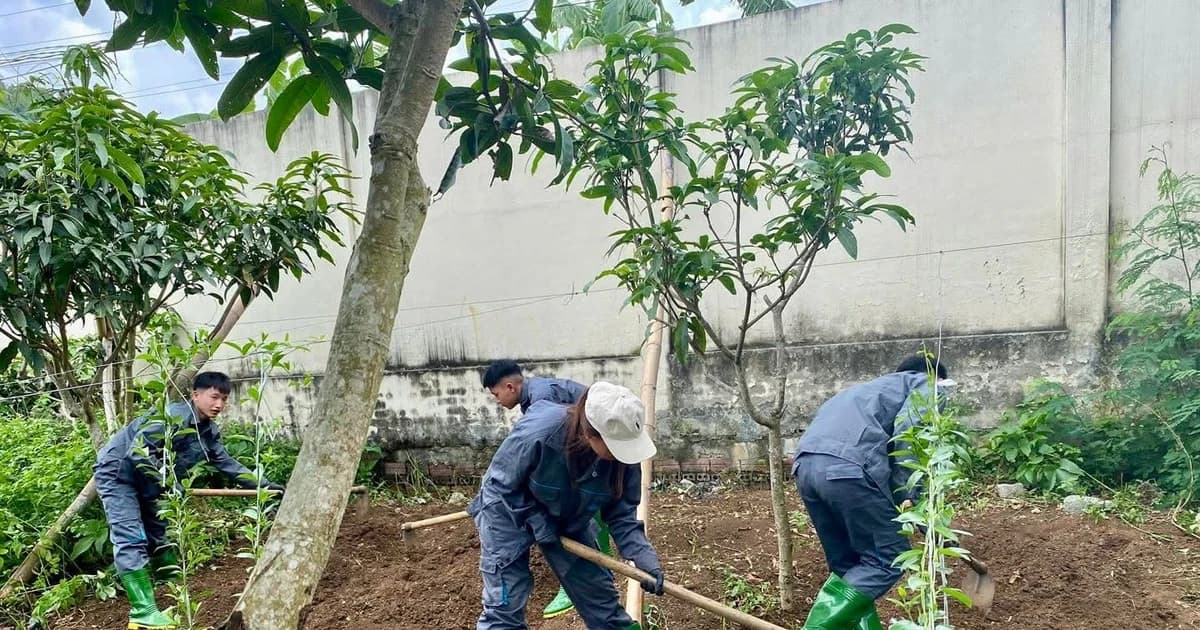 Sơn La đẩy mạnh đào tạo ngành Trồng trọt và Bảo vệ thực vật cho sinh viên