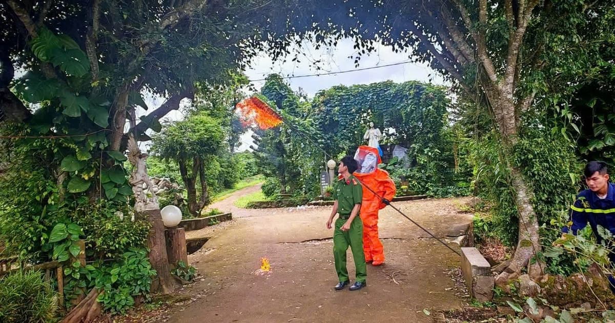 Gia Lai: Xử lý tổ ong vò vẽ tấn công 3 em nhỏ thương vong ở mái ấm Thiên Ân