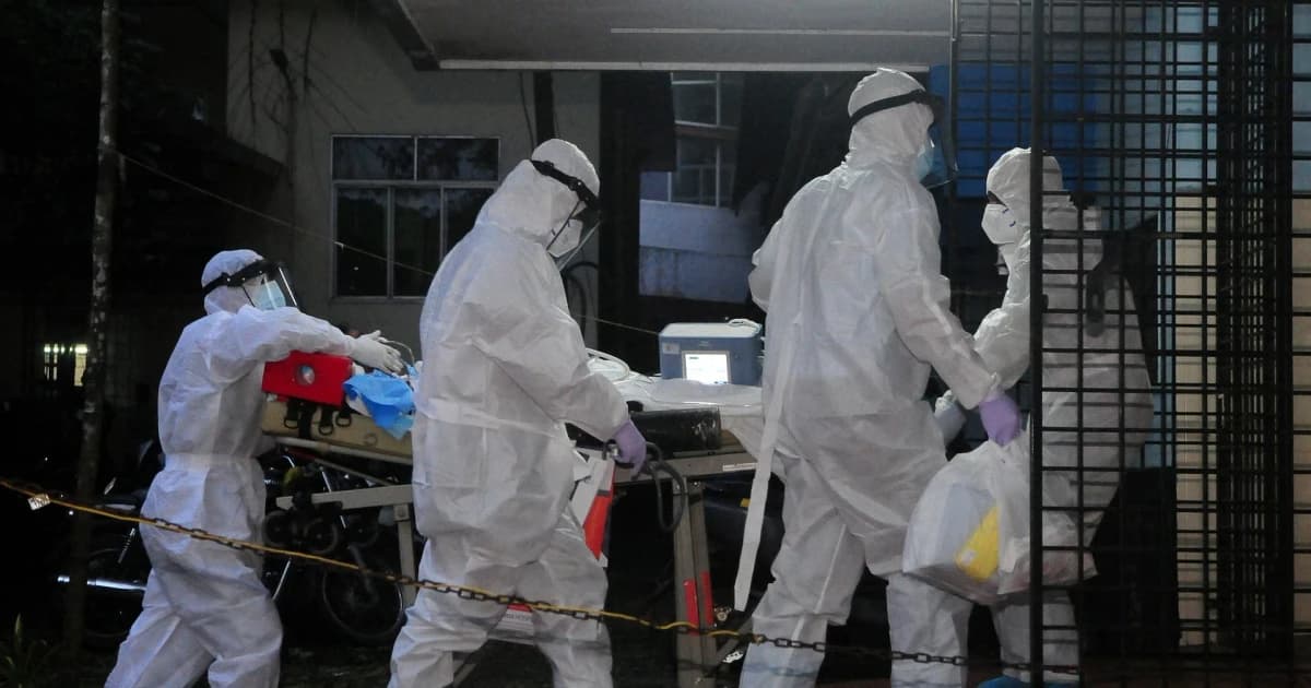 WHO khẳng định 'Virus Nipah chưa có dấu hiệu lan rộng, nguy cơ toàn cầu ở mức thấp'