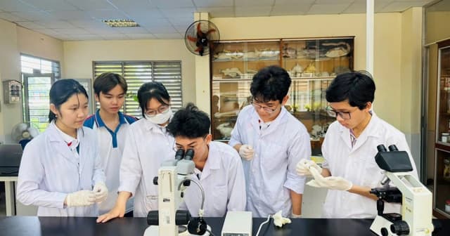 'Nâng chất' giáo viên: Động lực từ chính sách bền vững