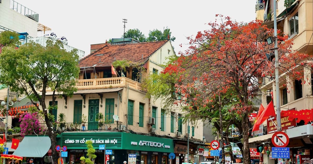 Tháng 3 về, Hà Nội khoác áo mới giữa mùa thay lá