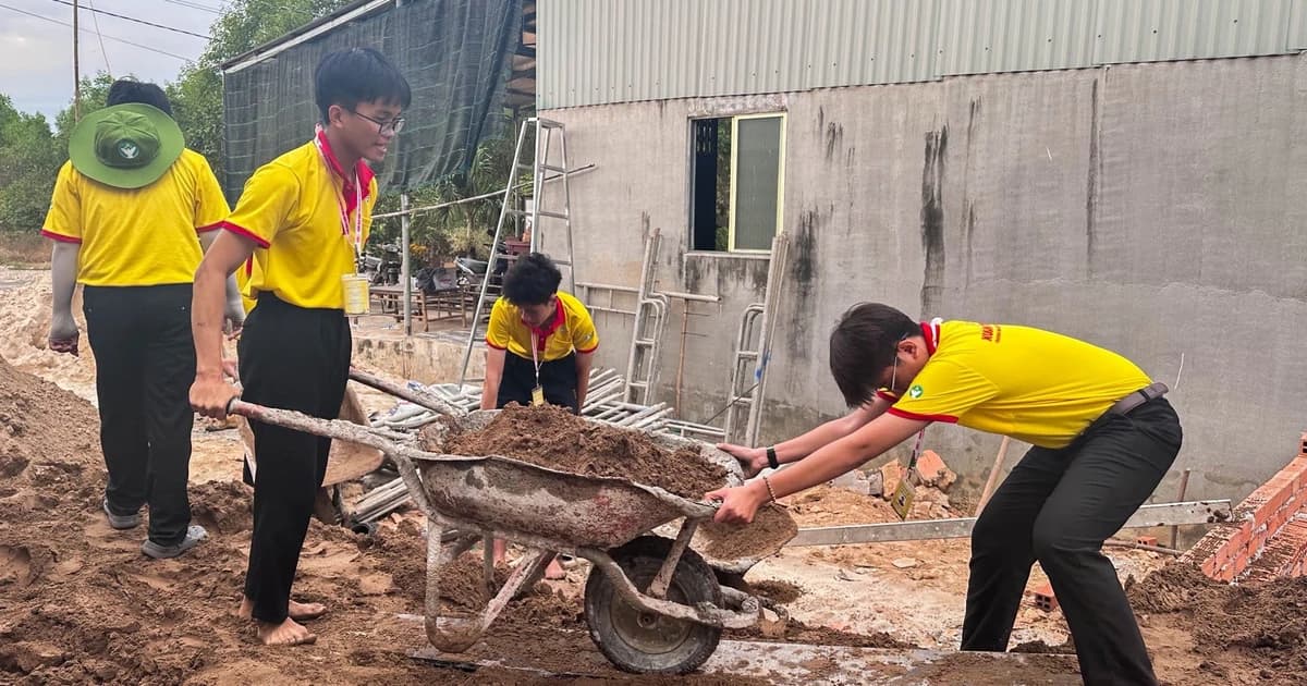 Dấu chân sinh viên trên những nẻo xuân