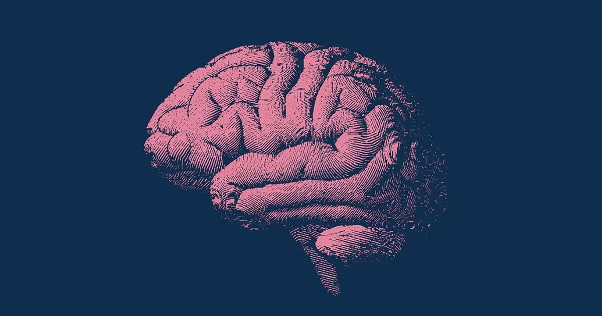 Nghiên cứu mới về chế độ ăn làm chậm lão hóa não