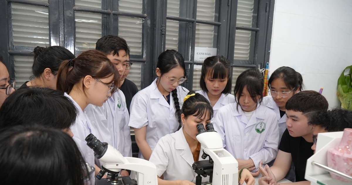 Đại học Dược Hà Nội bổ sung tổ hợp có Tiếng Anh, không quy đổi IELTS khi xét tuyển