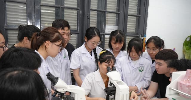 Đại học Dược Hà Nội bổ sung tổ hợp có Tiếng Anh, không quy đổi IELTS khi xét tuyển