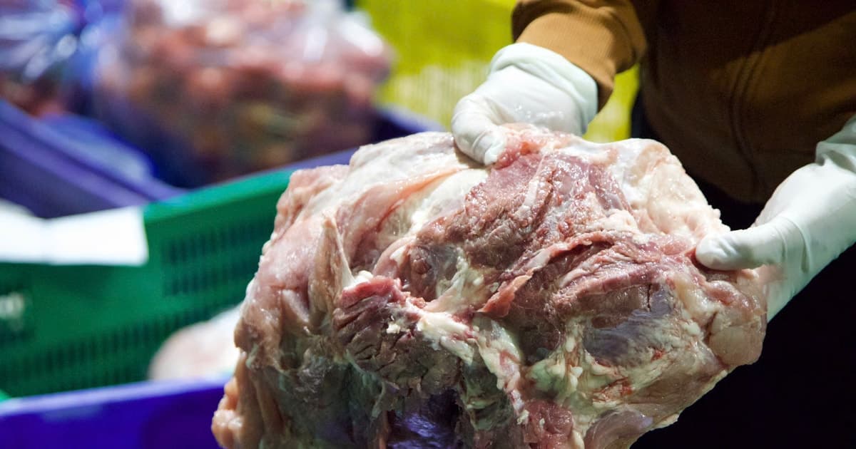 Cơ sở đưa thịt lợn nhiễm dịch tả châu Phi vào bữa ăn trẻ mầm non ở Thái Nguyên bị phạt 22,5 triệu đồng liệu có thoả đáng?