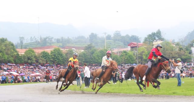 Festival mùa hè Bắc Hà 2026 hướng tới kỷ lục Guinness