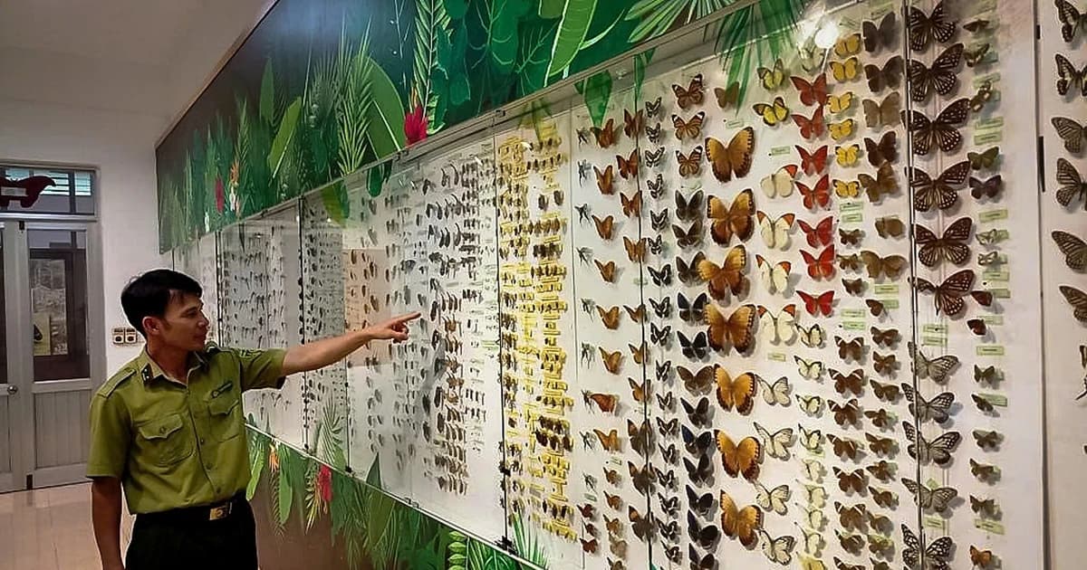 'Lớp học xanh' đặc biệt trong rừng già Cúc Phương